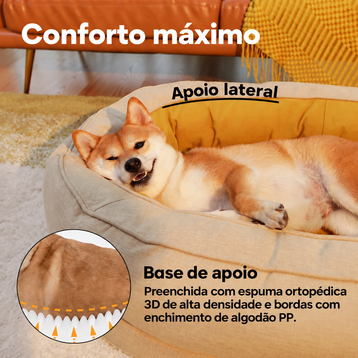 Cama02 HD